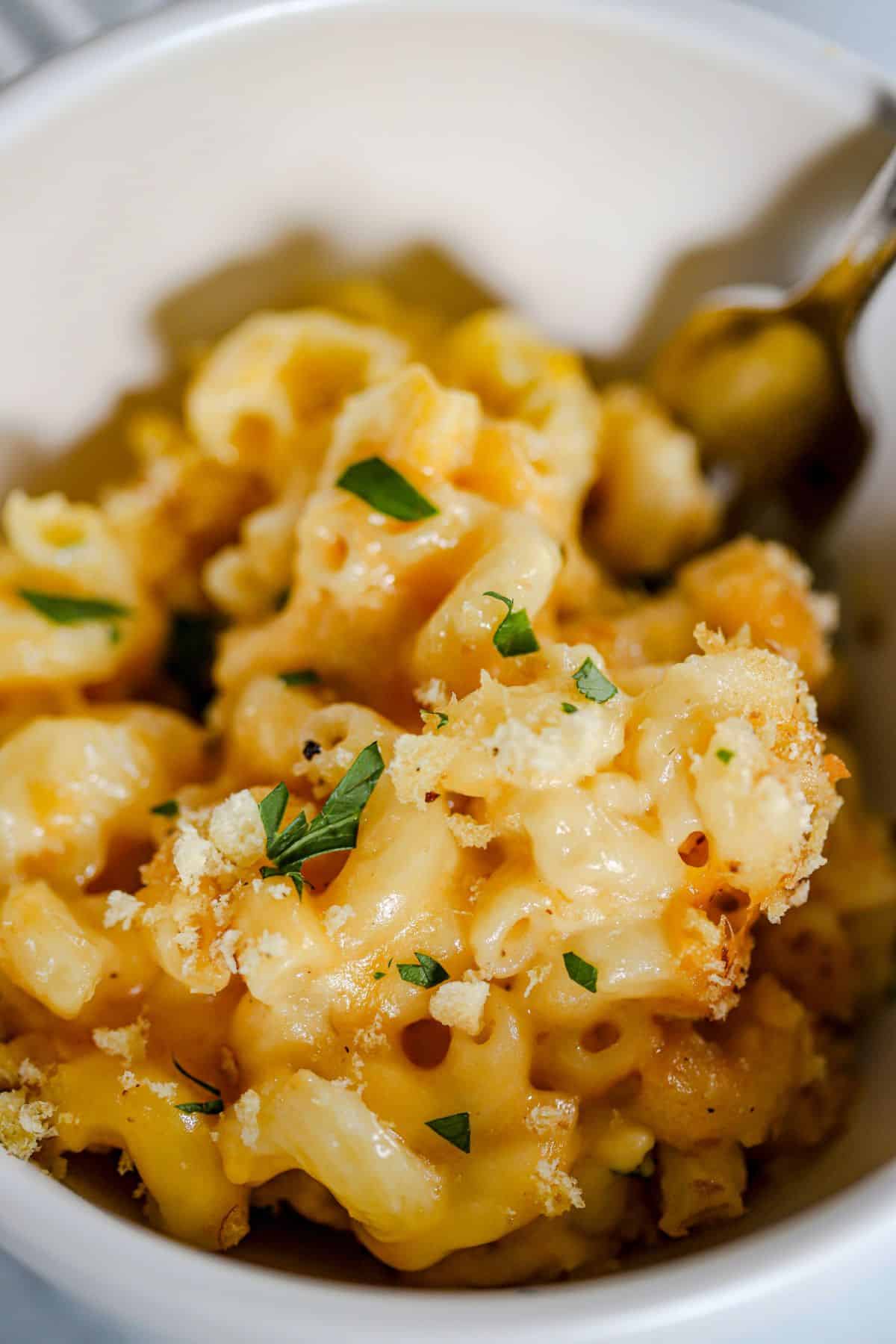 bowl of brie mac and cheese topped with breadcrumbs