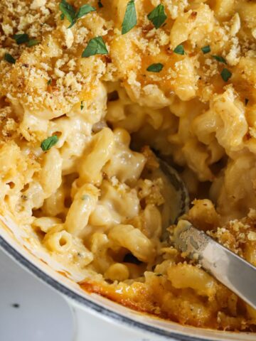 creamy brie mac and cheese in a enamel dutch oven.