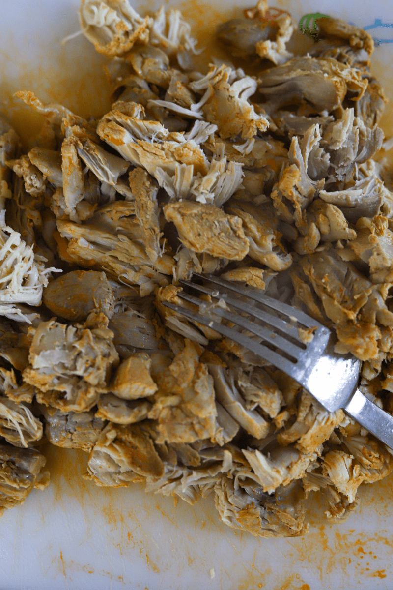 close up photo of chicken thigh meat being shredded with a fork in preparation for making Cape Verdean canja