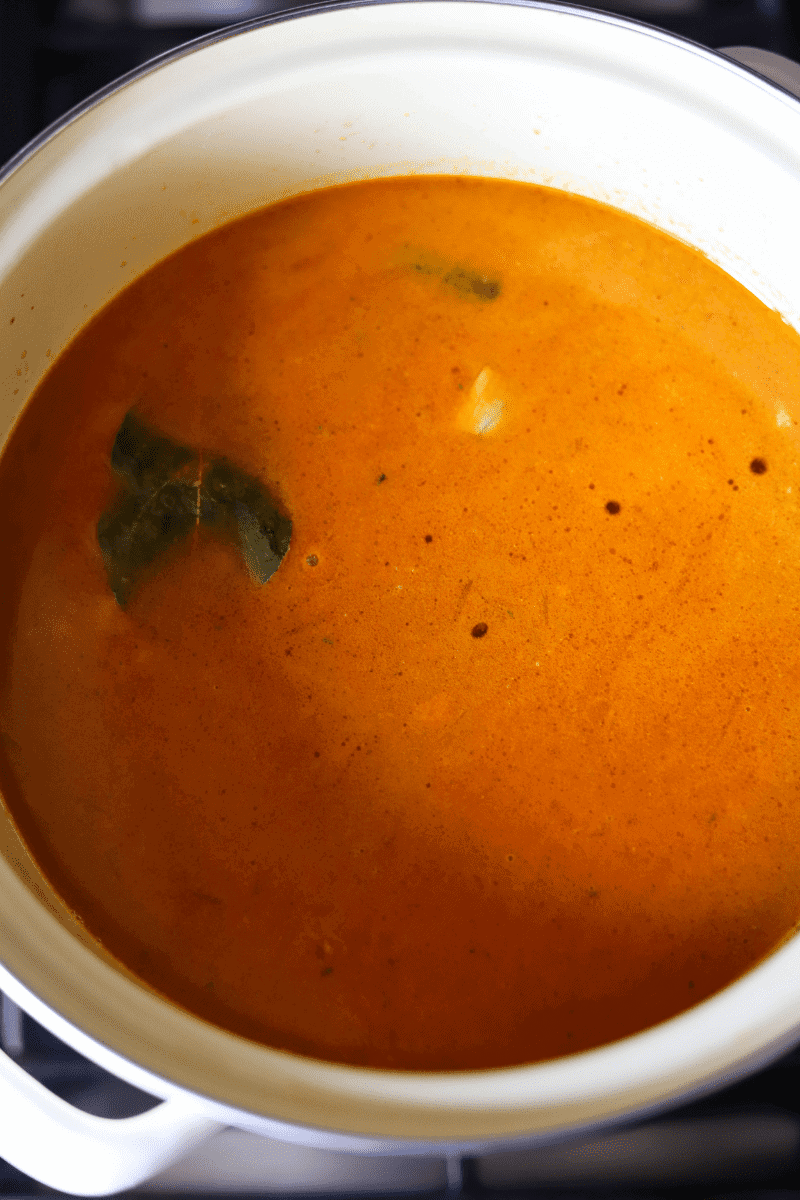 overhead photo of a pot of canja- photo was taken before the canja started simmering