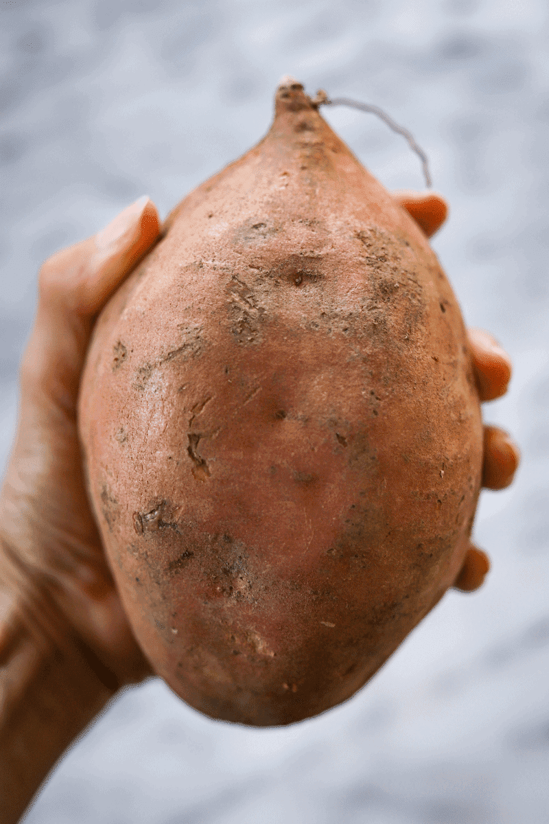 Close up photo of a large sweet potato in the blog author's hands. This photo is meat to show the size of the sweet potato that you will need to make Cape Verdean gufong.