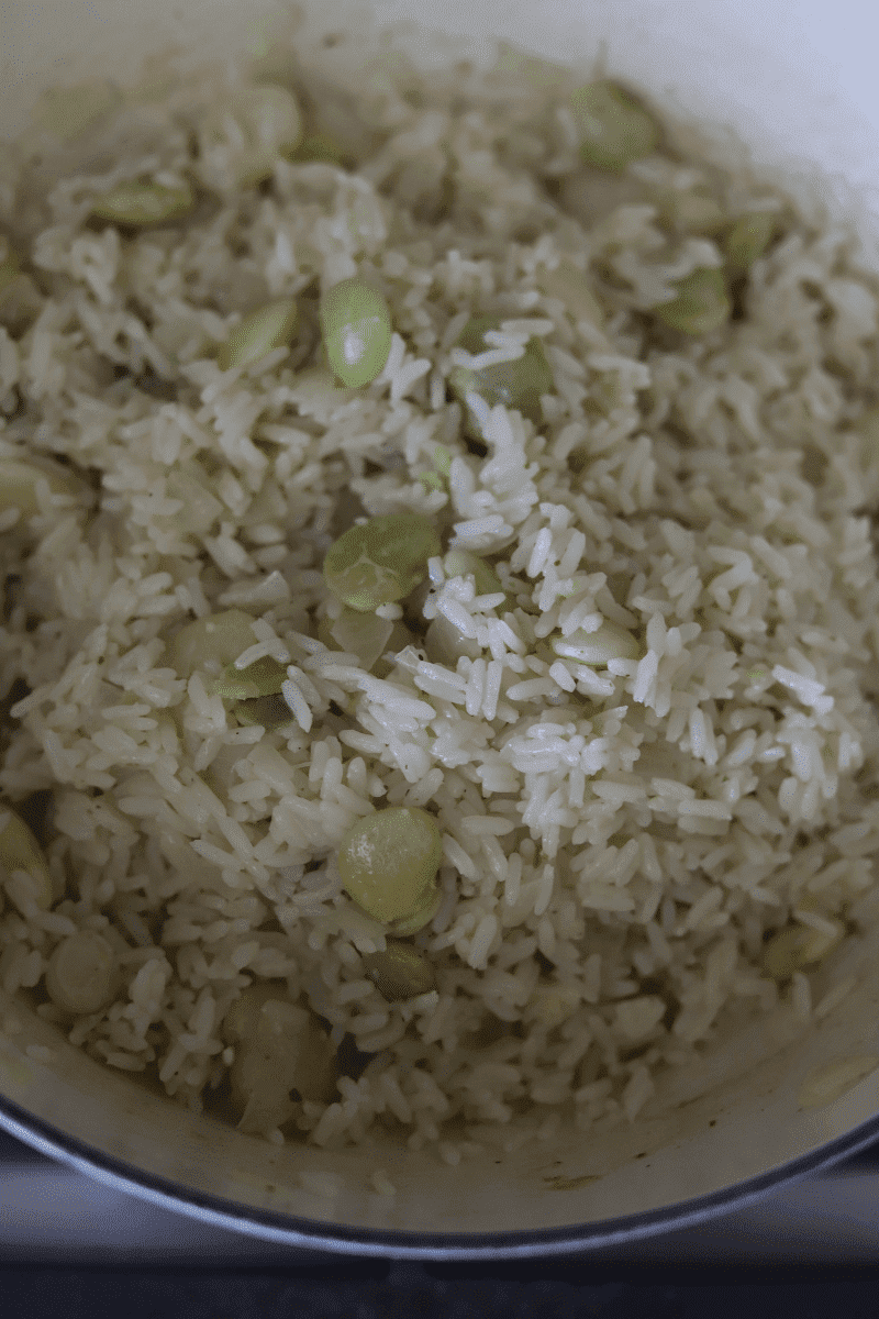 Close up of Cape Verdean style white rice with lima beans in a pan