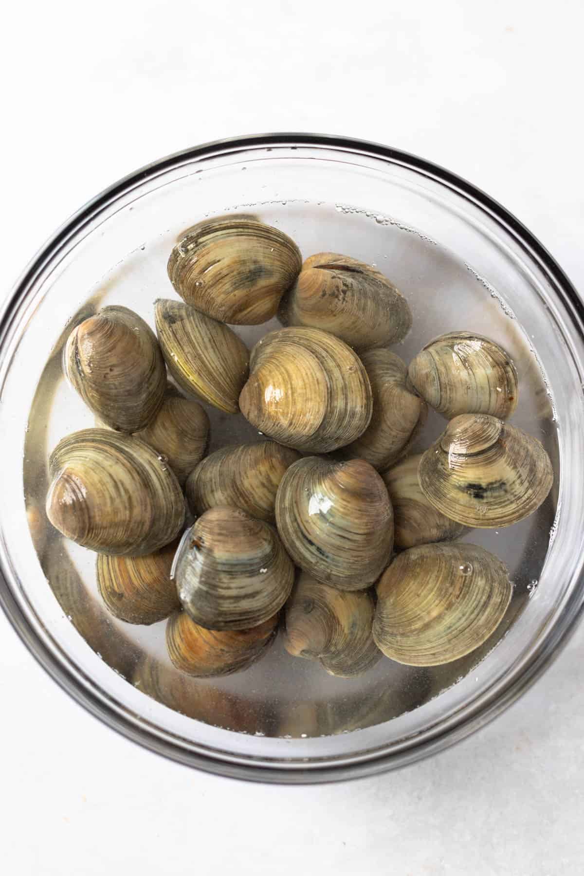 littleneck clams in a bowl of salted water