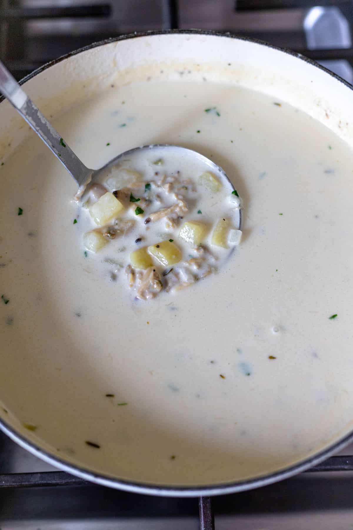 New England clam chowder in ladle