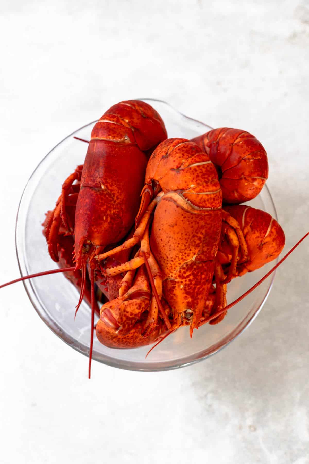 four boiled lobsters in a bowl