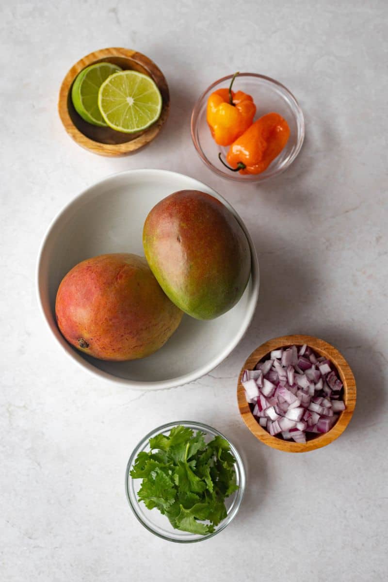 ingredients for mango habanero salsa (shown whole so the reader can see the size): lime, 2 habanero peppers, 2 whole mangos, half of a red onion, small bunch of cilantro.